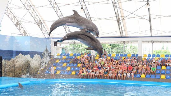 Kobleve Dolphinarium Nemo